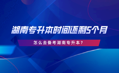 湖南專升本時(shí)間還剩5個(gè)月，怎么去備考湖南專升本.png