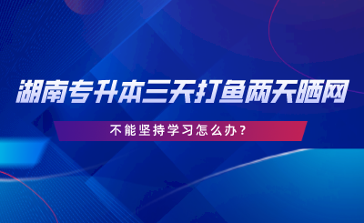 2024年湖南專升本三天打魚兩天曬網(wǎng)，不能堅(jiān)持學(xué)習(xí)怎么辦.png