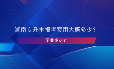 湖南專升本報(bào)考費(fèi)用大概多少？學(xué)費(fèi)多少？.png