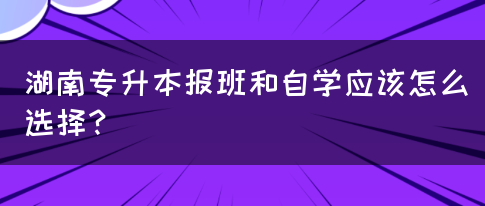 湖南專升本報班和自學(xué)應(yīng)該怎么選擇？(圖1)