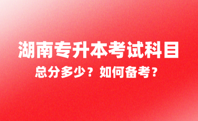 2025年湖南專升本考試科目總分多少？如何備考？