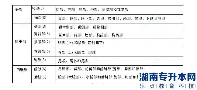 青島農(nóng)業(yè)大學(xué)海都學(xué)院2023年專升本動物解剖學(xué)考試大綱