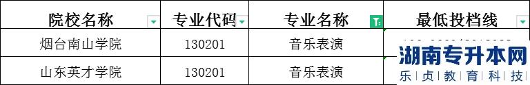 2023年山東專升本音樂表演建檔立卡投檔分數(shù)線