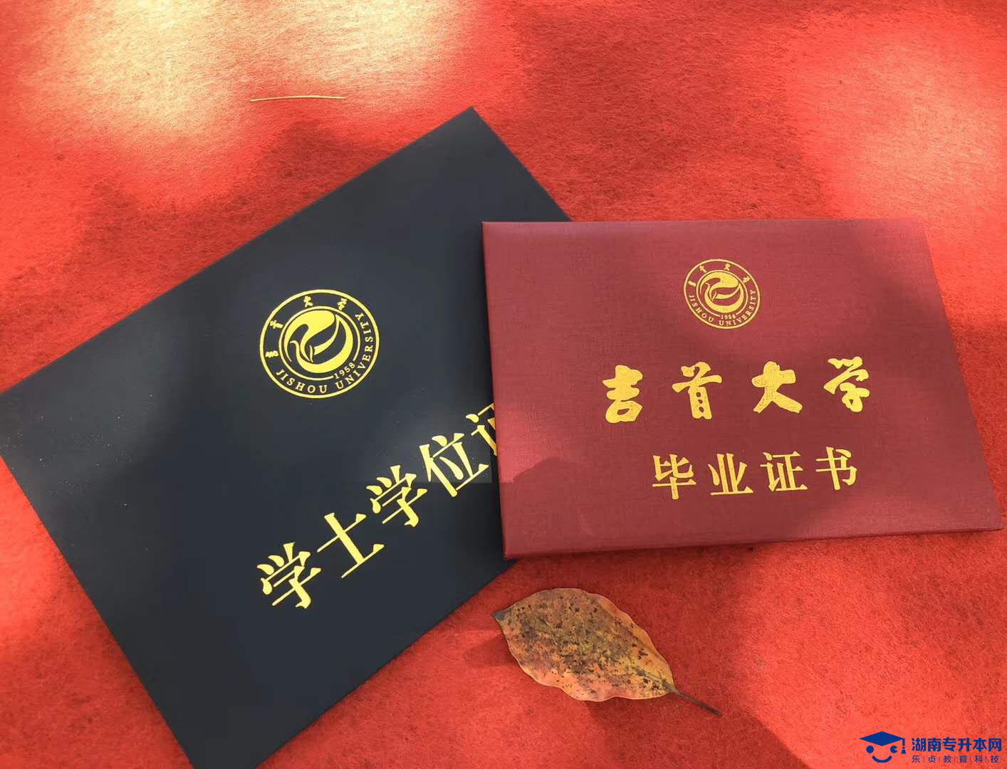 中南林業(yè)科技大學(xué)涉外學(xué)院2022年專(zhuān)升本招生專(zhuān)業(yè)考試科目及參