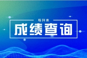 2023年湖南涉外經(jīng)濟(jì)學(xué)院專升本成績(jī)查詢?nèi)肟? /></a></dt>
                        <dd class=