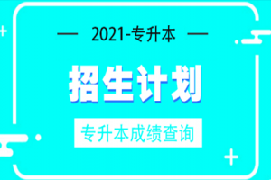 2021年遼寧數(shù)字媒體藝術(shù)專升本計(jì)劃招生人數(shù)