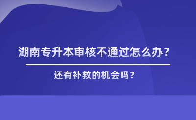 湖南專升本審核不通過怎么辦？有補(bǔ)救嗎.png