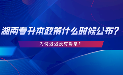 2024年湖南專升本政策什么時候公布？為何遲遲沒有消息.png